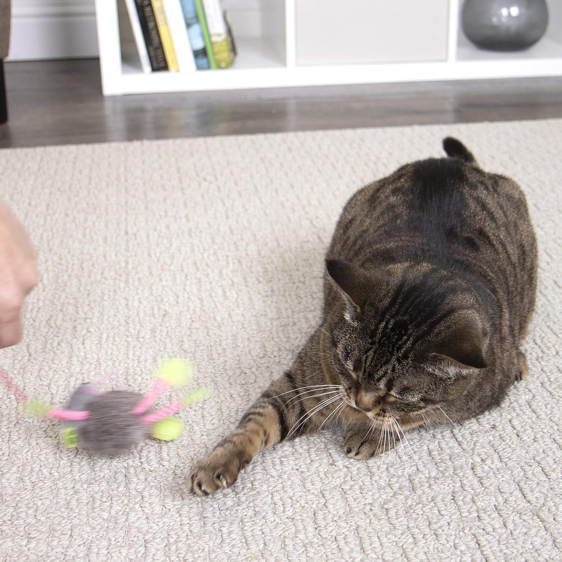 SmartyKat Bouncy Mouse Bungee Dangler Plush Cat Toys - Multi Color
