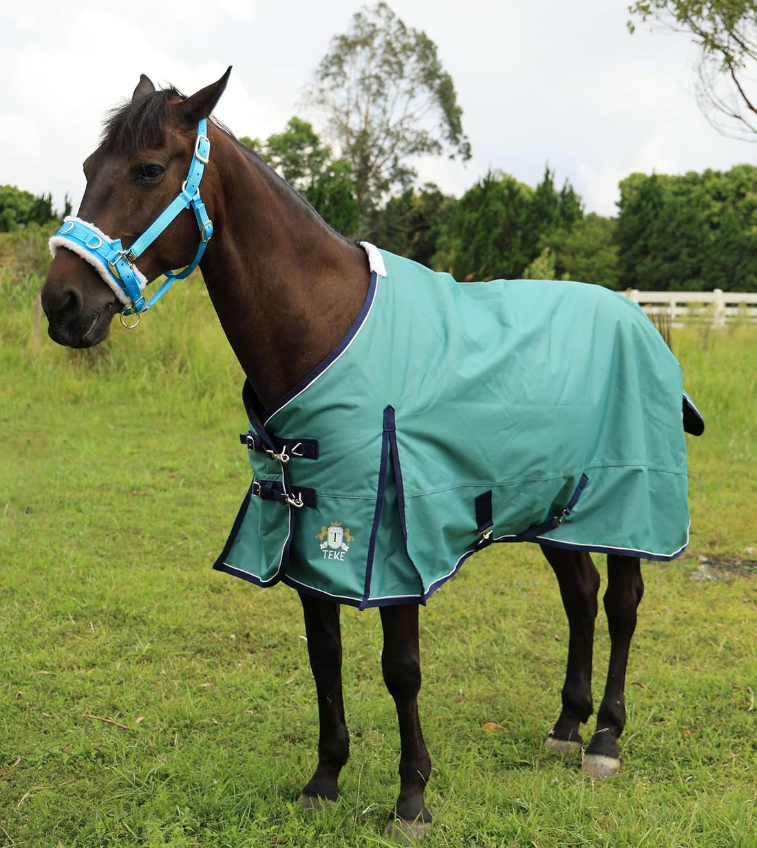 T TEKE Deluxe 1200D Horse Turnout Blanket, 200g Fill