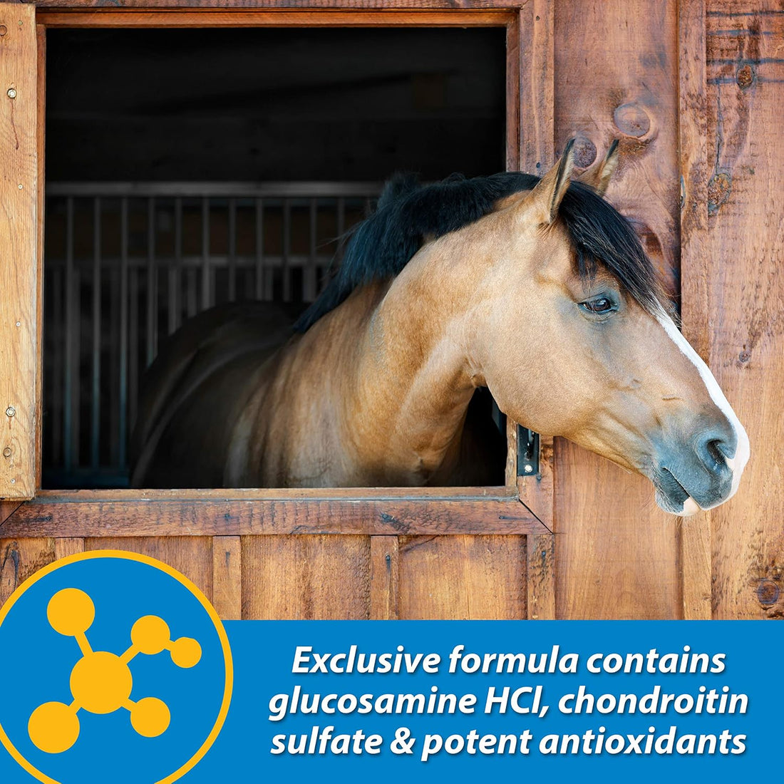 Farnam Fluidflex Glucosamine Joint Supplement for Horses, 32 oz.