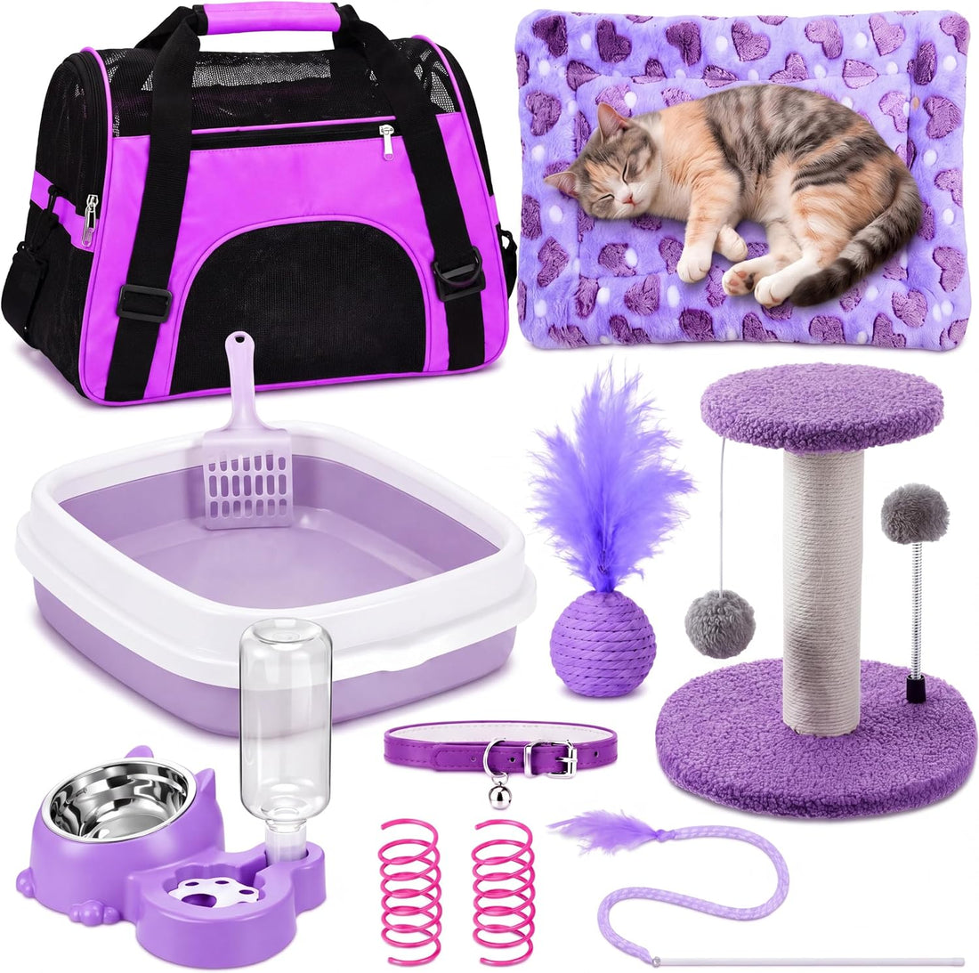 Eccliy 10 Pcs Kitten Starter Kit for Indoor
