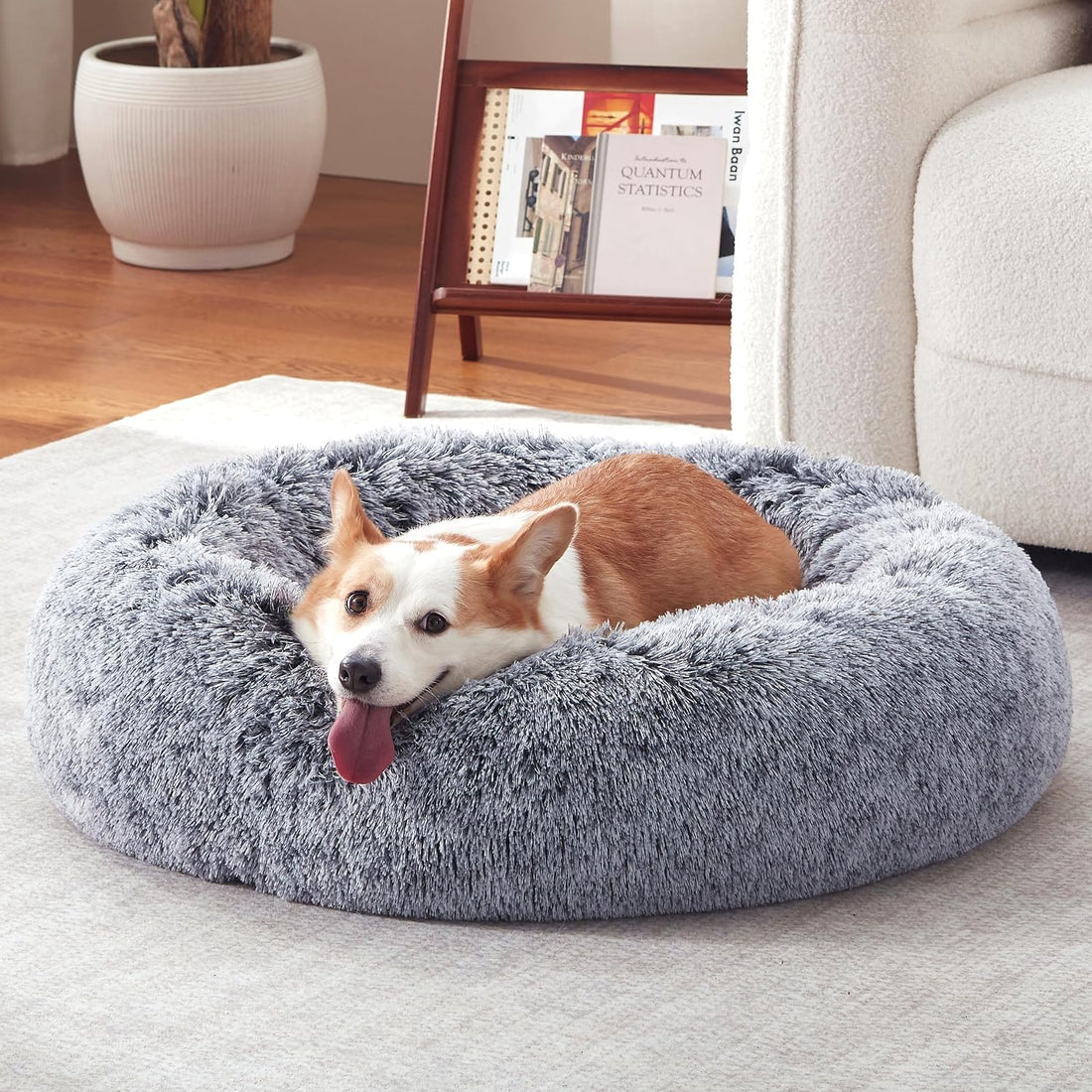 Donut Dog Bed Medium Size Dog, Round Cat Beds for Small Dogs