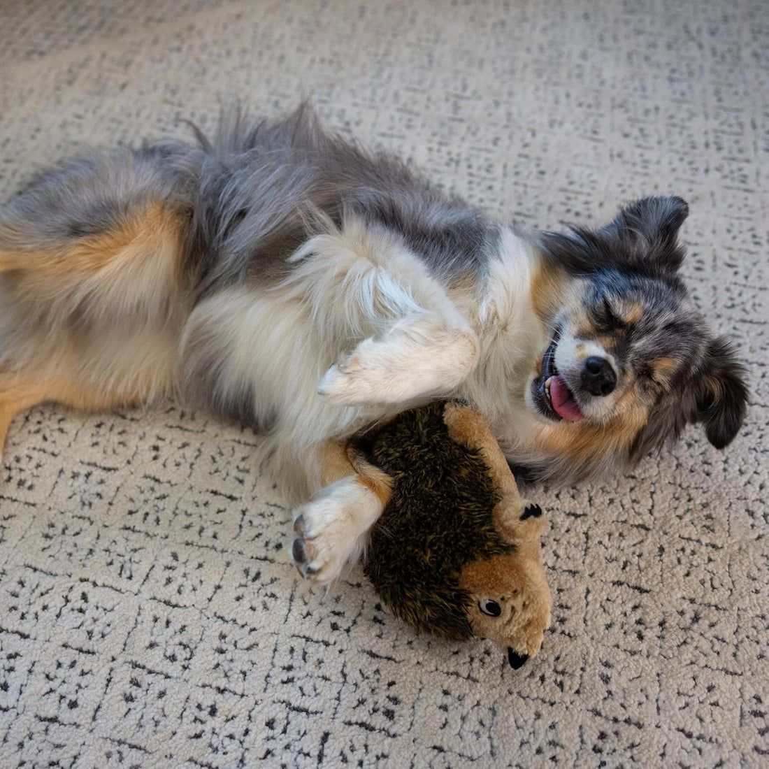 Outward Hound Hedgehogz Stuffed Dog Toy – Soft Plush Hedgehog