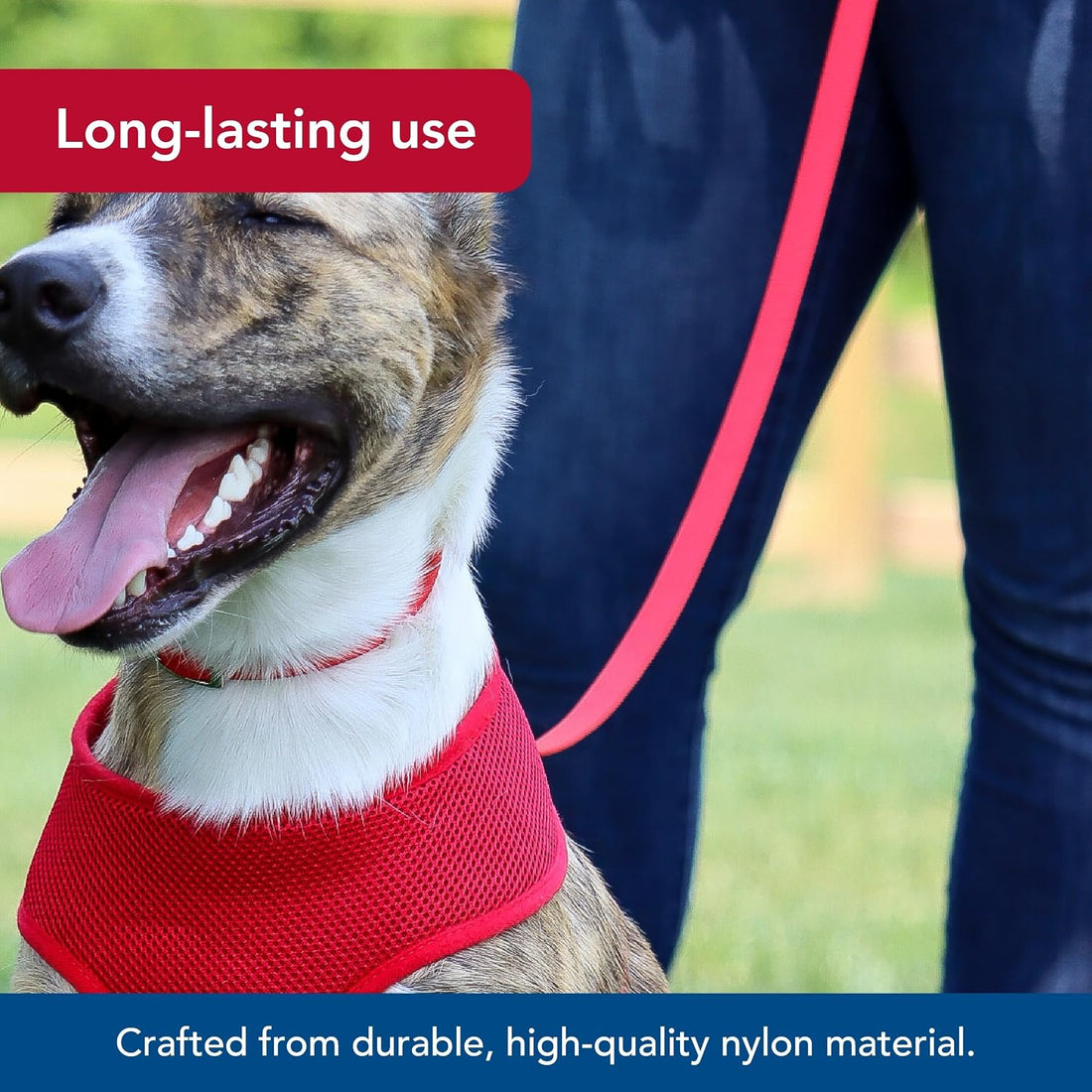 Coastal Pet Single-Ply Dog Leash - Sturdy Pet Leash