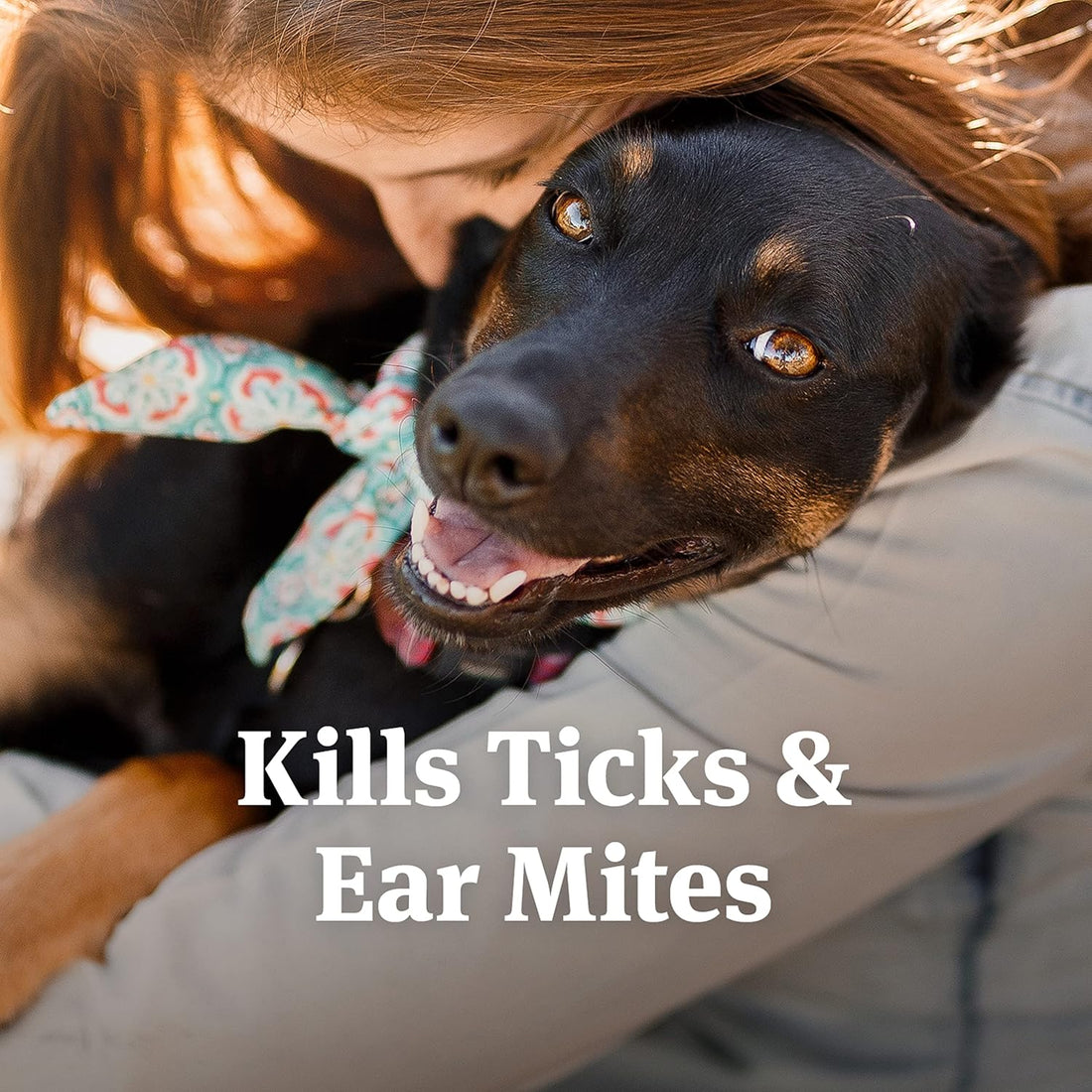 PetArmor Ear Mite Treatment for Cats & Dogs