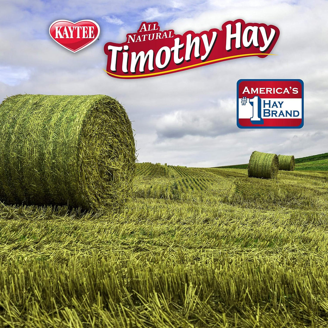 Kaytee All Natural Timothy Hay Plus Carrots for Guinea Pig & Rabbit