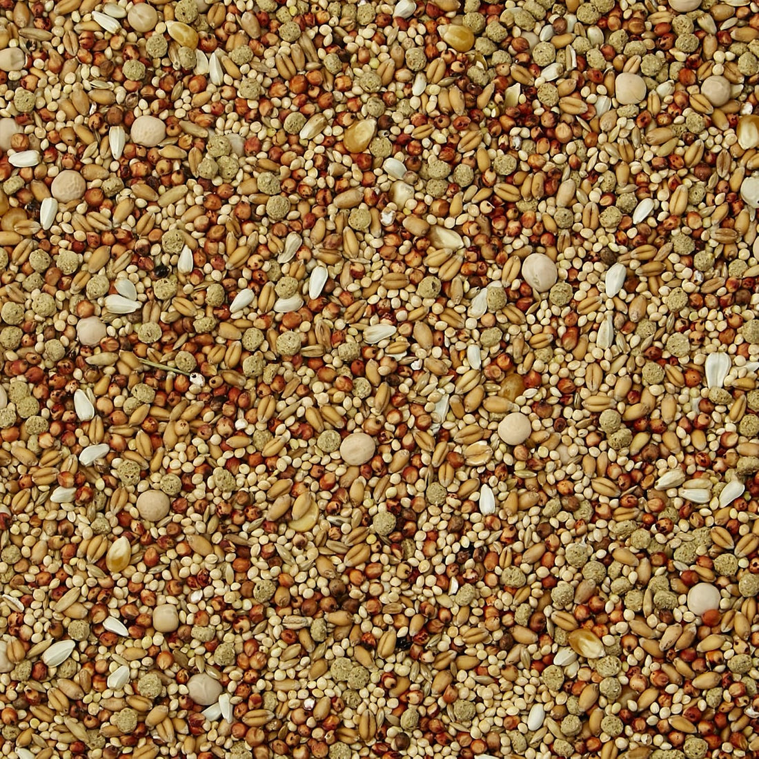 Kaytee Supreme Dove Food, Dove Bird Seed, 5 Pounds