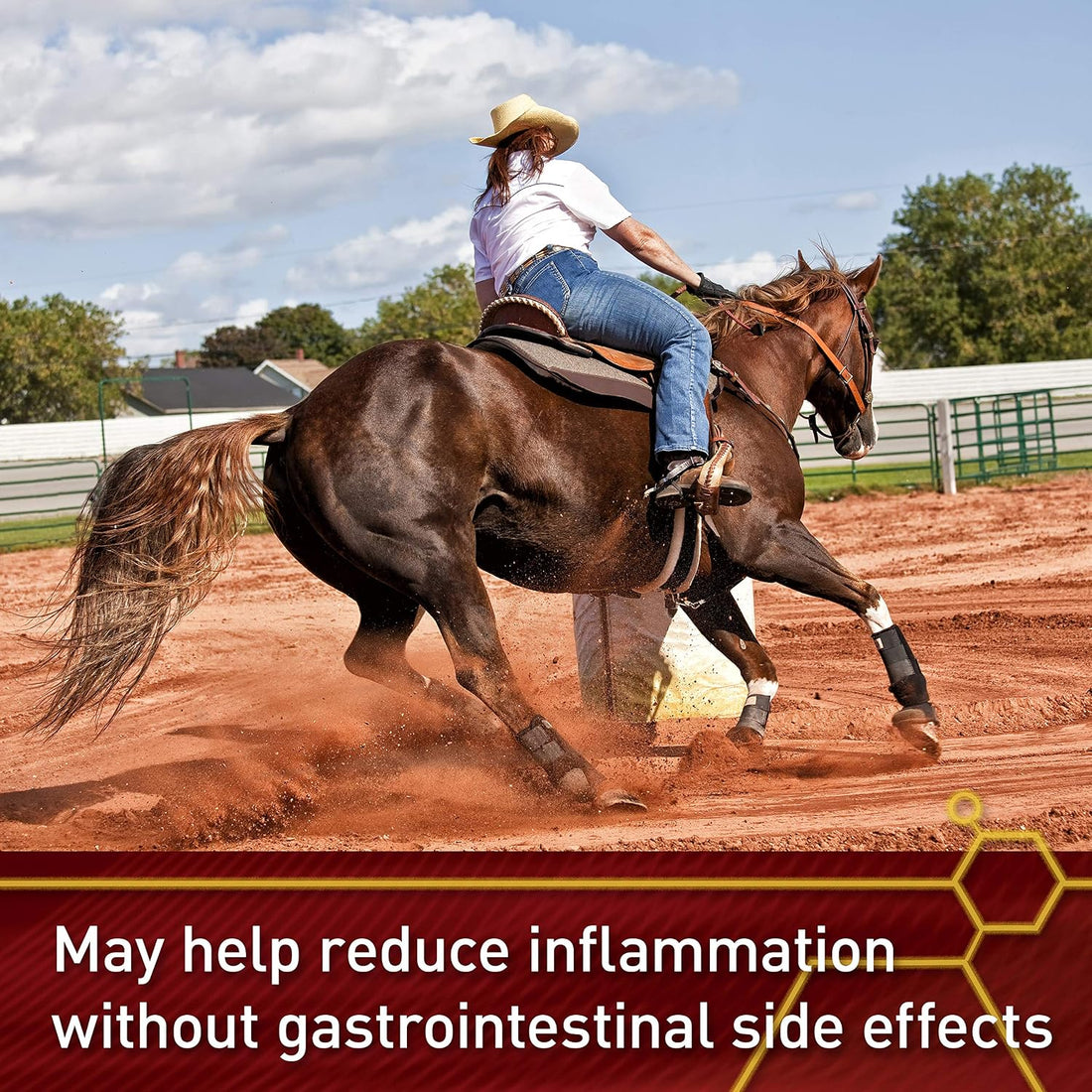 Vita Flex Pro Equinyl Combo Joint Horse Joint Supplement