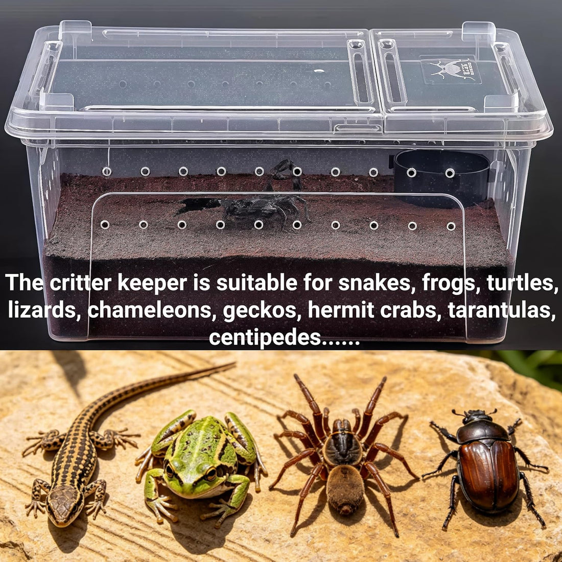 Tlence 2 Pack Critter Keeper