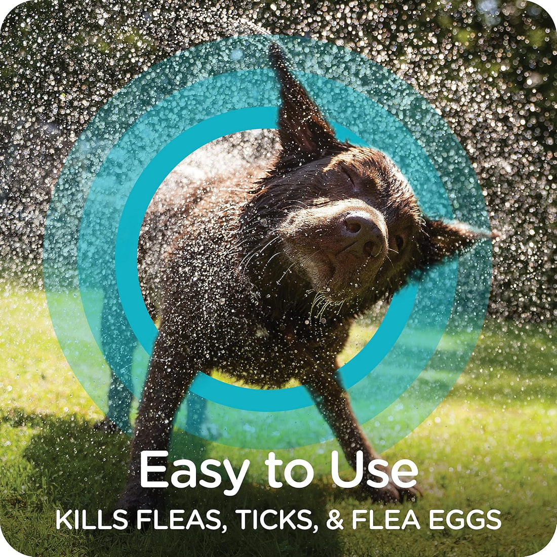 Sergeant's Guardian PRO Flea & Tick Shampoo Dogs, Kills Eggs 30 Days