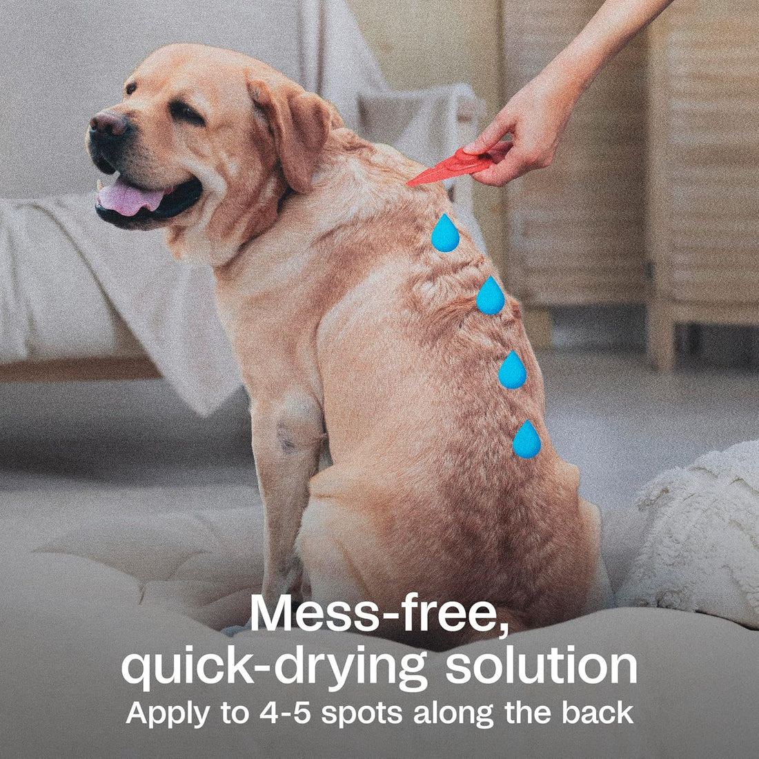 ADAMS Plus Flea & Tick Prevention Spot On for Extra Large Dogs, 3 Pack