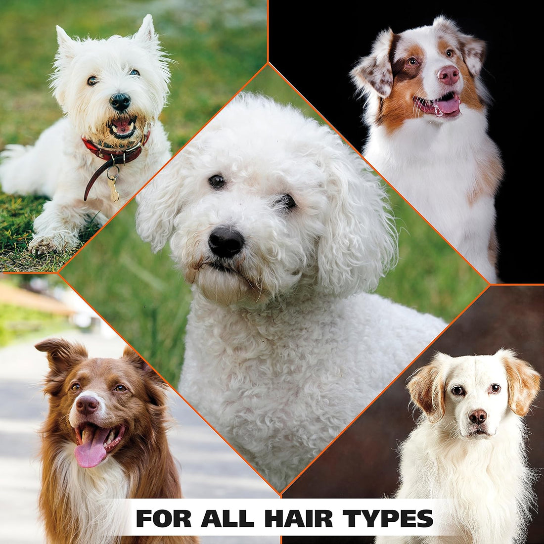 Wahl USA Pet Shampoo