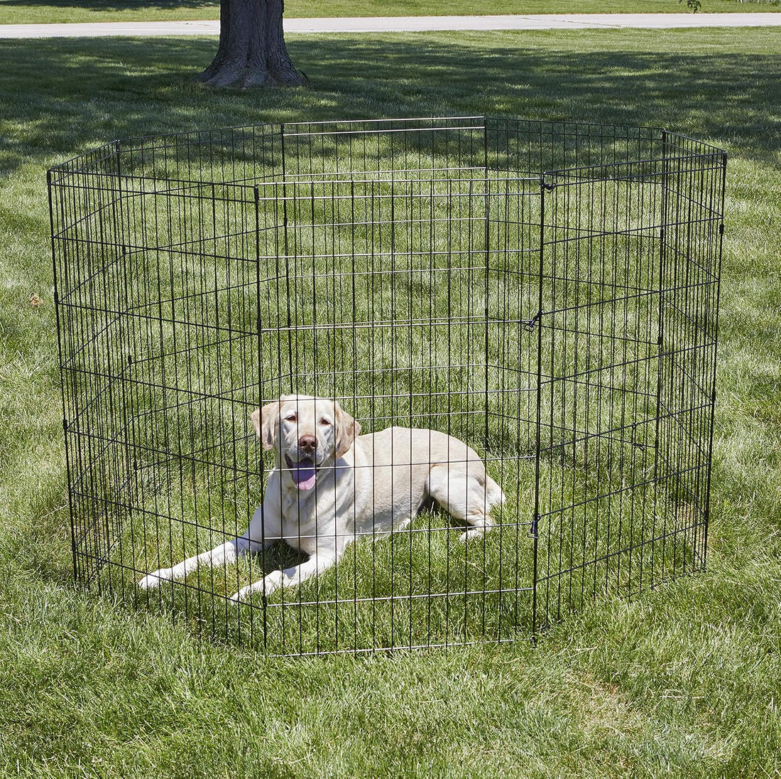 New World by MidWest 36-Inch Exercise Pen, No Door, 16 Sq Ft Play Area