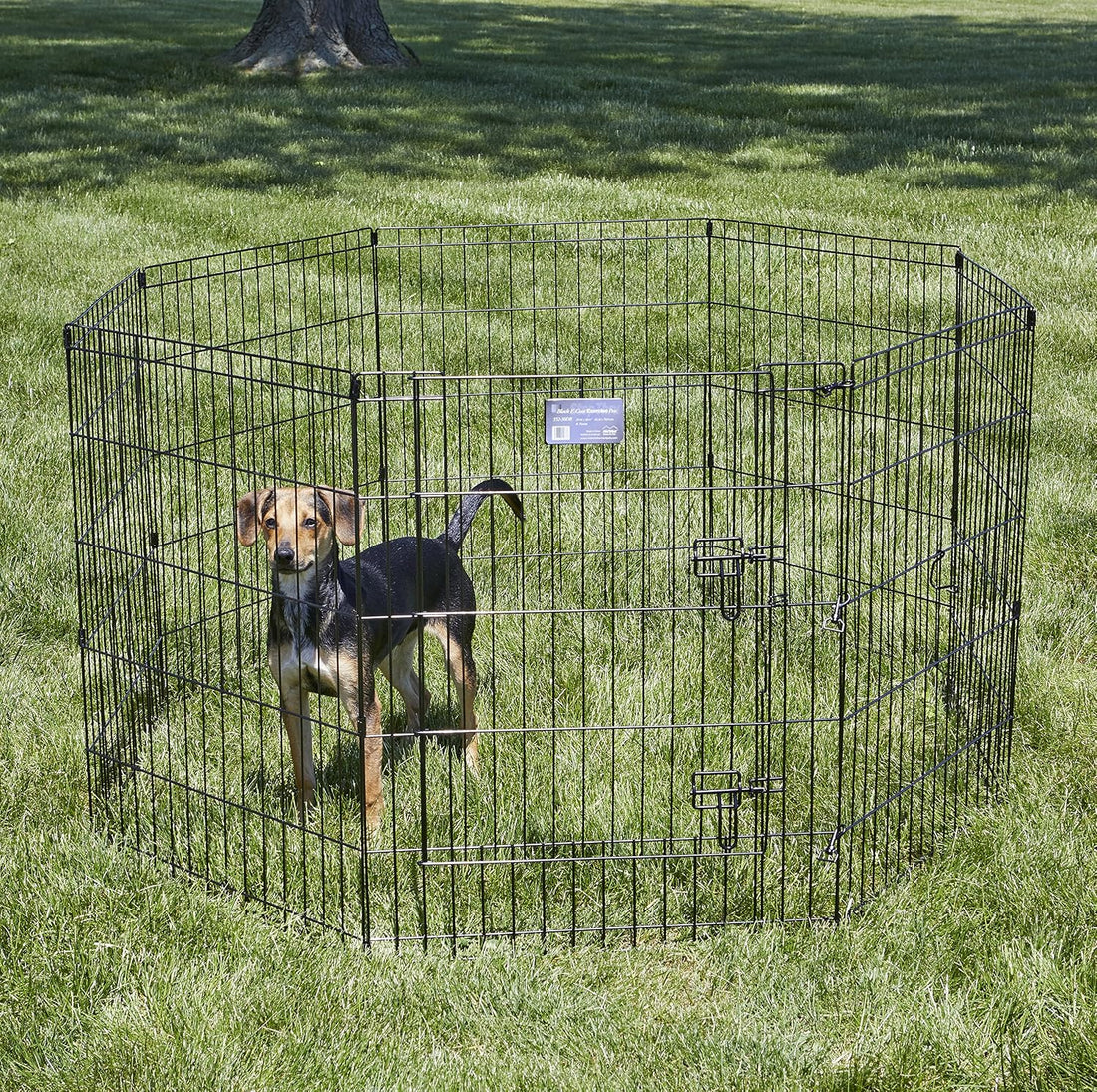 MidWest 30-Inch Exercise Pen, Single Door, 16 Sq Ft Play Area