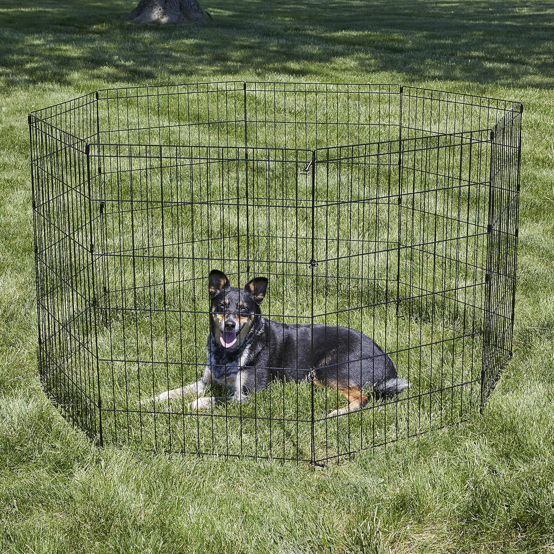 New World by MidWest 36-Inch Exercise Pen, No Door, 16 Sq Ft Play Area