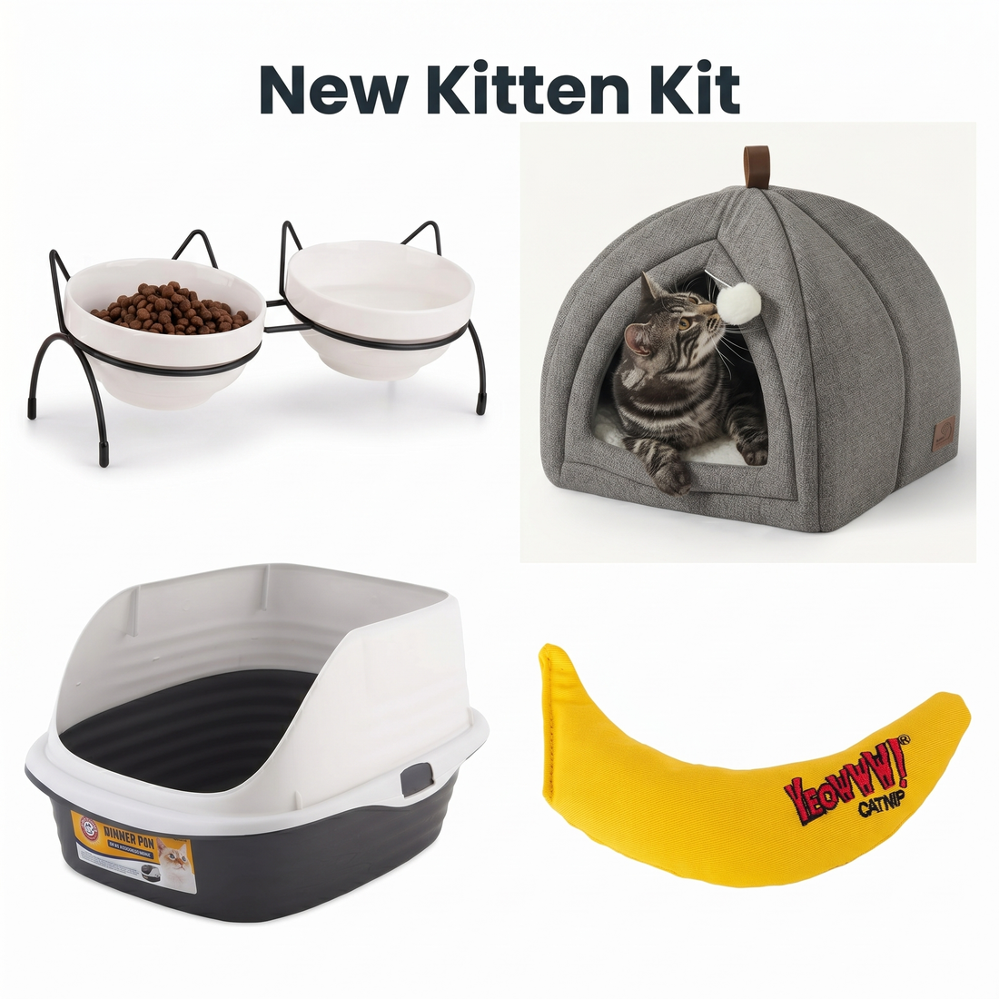 New Kitten Kit