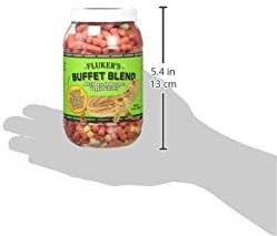 Fluker's Buffet Blend Adult Bearded Dragon Veggie Variety Diet, 7 oz