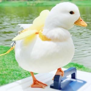 Duck Harness, Soft and Adjustable Chicken Walking Harness Breathable