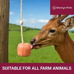 Glowyn Himalayan Salt Lick-Natural Minerals Block on Rope - 4.0 lbs.