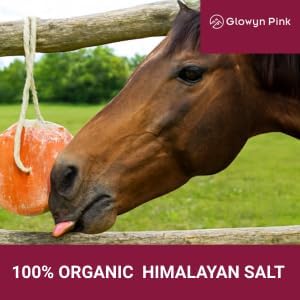 Glowyn Himalayan Salt Lick-Natural Minerals Block on Rope - 4.0 lbs.