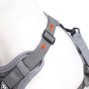 Wanheart cat Chest Harness and Leash