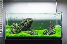 Fluval AquaClear Fish Tank Power Filter for 20- to 50-Gallon Aquariums