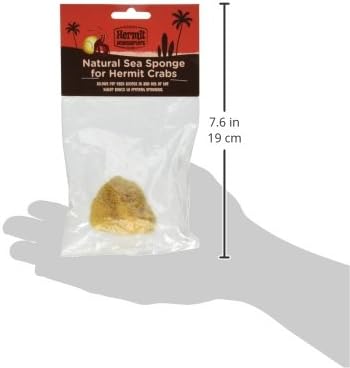 Fluker's Natural Sea Sponge for Hermit Crabs