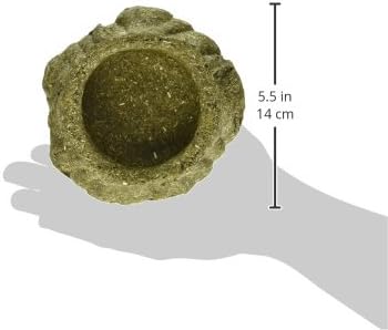 Kaytee Premium Timothy Hay Chew-A-Bowl for Rabbits, Guinea Pigs