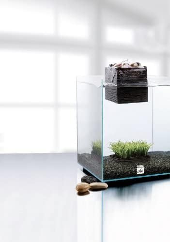 Fluval Chi II Series Aquarium Set, 5-Gallon