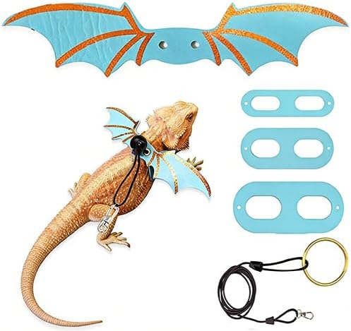 Bearded Dragon Harness and Leash Set, Wings & Adjustable Sizes