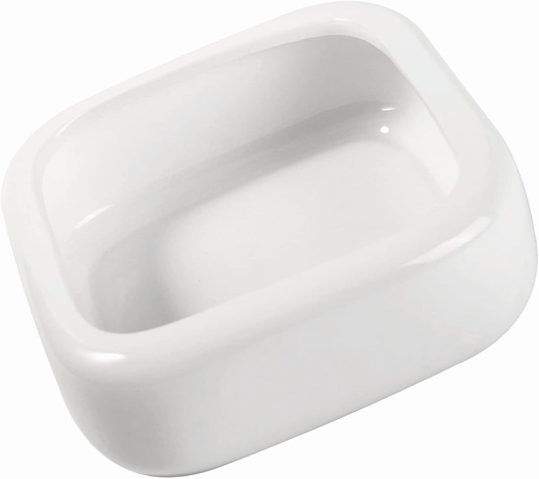Ceramic Reptile Food Bowls, Reptile Water Food Dish