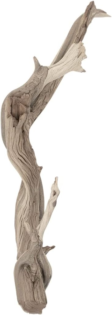 Koyal Wholesale 12” Driftwood Terrarium Decor