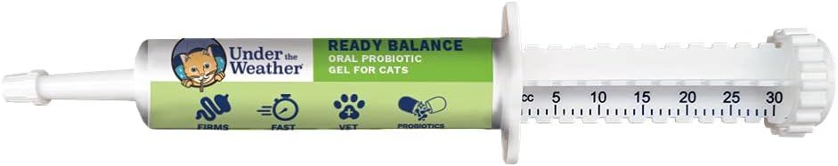 Under the Weather Pet | Ready Balance