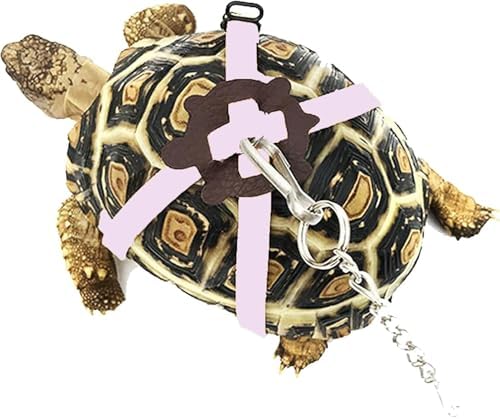 Adjustable Harness & Leash Set Strap for Turtles Small Pet Leash