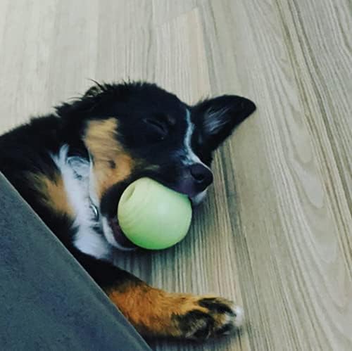Chew King by Mammoth Set of 2 Glowing Fetch Ball