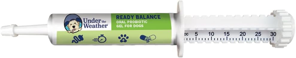 Under the Weather Pet | Ready Balance