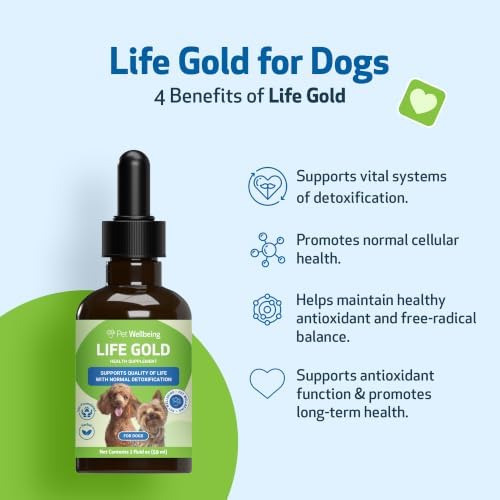 Pet Wellbeing More Mushrooms Bundle for Dogs - Immune System Support