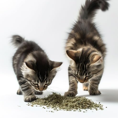 munchiecat Organic Catnip Refill