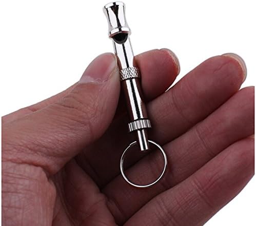 F-P 2pc Silver Whistle for Bird/Pigeon Parrot Pet Training Feeding