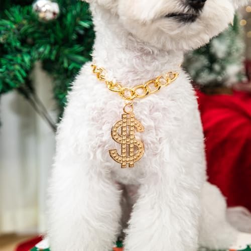 Cute Adjustable Pet Gold Chain with Dollar Pendant