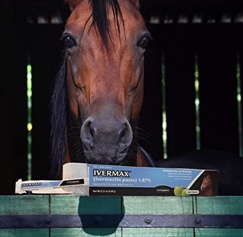 First Companion Ivermax Equine Paste 6.08 Gram 1 Pack, Blue