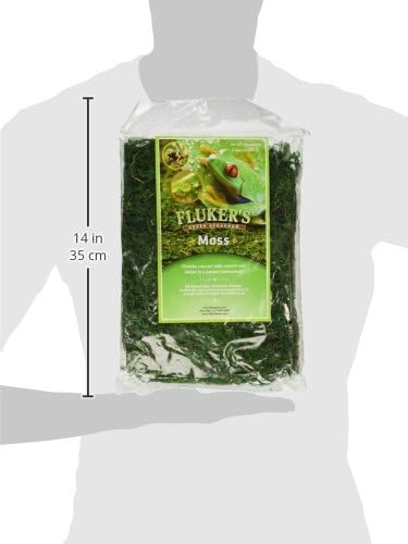 Fluker's Green Reptile Terrarium Moss, 8,Quart, Black (Pack of 2)