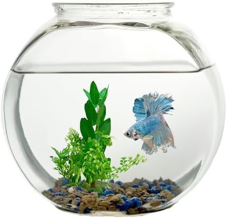 Koller Products 1-Gallon Plastic Oval Fish Bowl