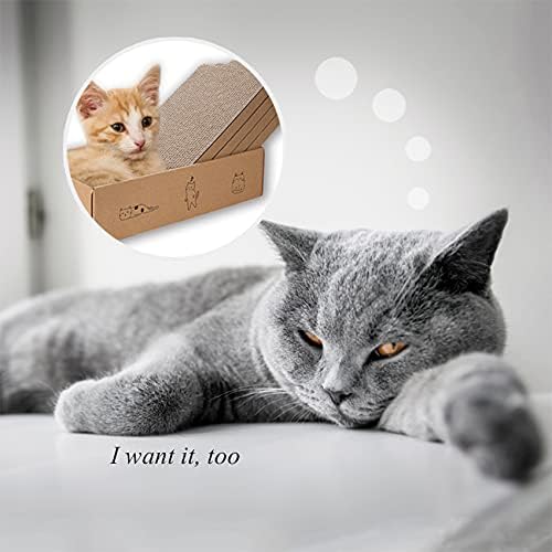 4 Packs in 1 Cat Scratch Pad with Box