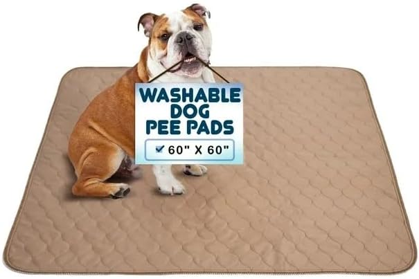 EZwhelp Reusable Dog Pee Pads, Washable Waterproof Mat 60x60 in