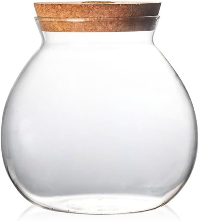 Small Betta Fish Tank Glass Fish Bowls for Betta Fish Goldfish