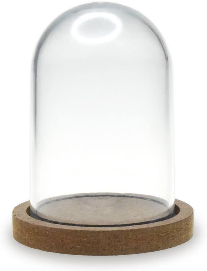 Terrarium Plastic Clear Dome with Wood Base - DIY Crafts