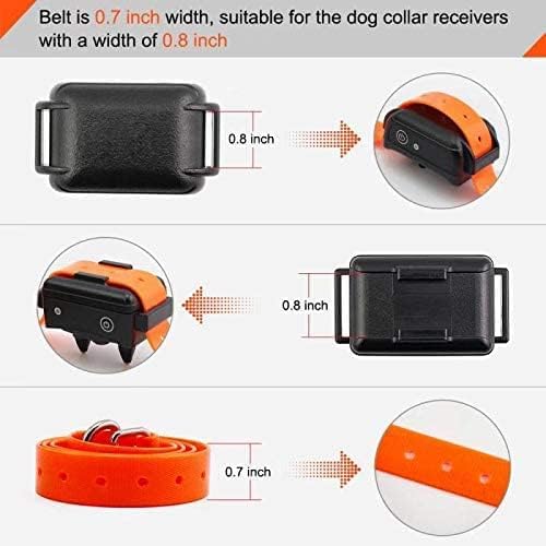 Waterproof TPU Replacement Strap for Dog Training Collar, 27.5 in