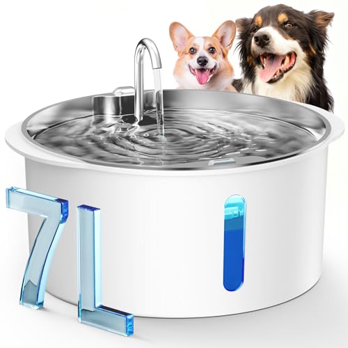 Pektaco Dog Water Fountain for Large Dogs