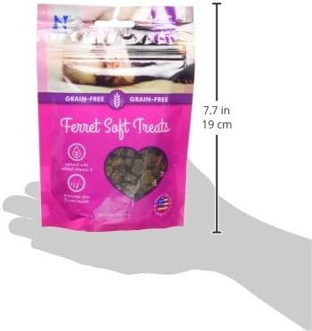 N-Bone 1 Pouch Ferret Soft Treats Bacon Flavor, 3 Oz