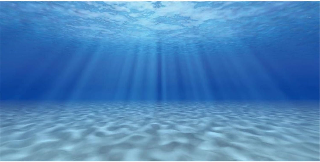 AWERT Undersea Aquarium Backdrop Sunshine Fish Tank Background 24x12